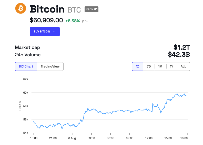 Bitcoin Price Performance